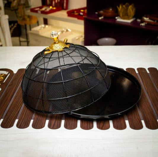 Black Turtle
